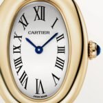 Baignoire watch WGBA0007 - 图片 9