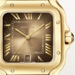 Santos de Cartier watch CRWGSA0095 - Image 2