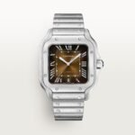 Santos de Cartier watch CRWSSA0064 - Image 5