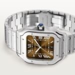 Santos de Cartier watch CRWSSA0064 - Image 8
