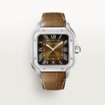 Santos de Cartier watch CRWSSA0064 - Image 9