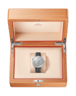Seamaster Diver 300M Co‑Axial Master Chronometer 42mm 210.32.42.20.06.002 - Image 3