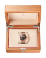 Seamaster Diver 300M 42 mm 210.90.42.20.01.003 - Image 3