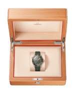 Seamaster Diver 300M Co‑Axial Master Chronometer 42mm Titanium 210.92.42.20.10.001 - Image 3